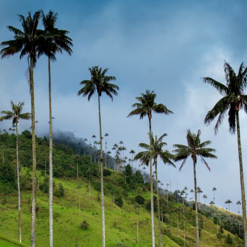 Turismo + Ortodoncia Invisible en un Solo Destino